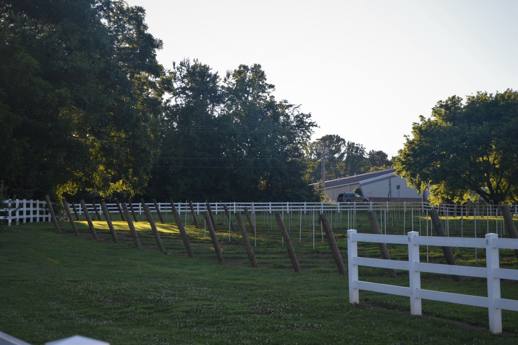 Hoppin 061419 (154).JPG